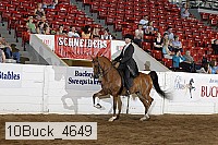 10buck_4649 proof