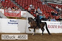 10buck_4650 proof