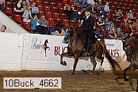 10buck_4662 proof