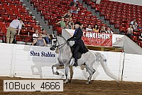10buck_4666 proof