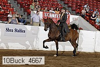 10buck_4667 proof