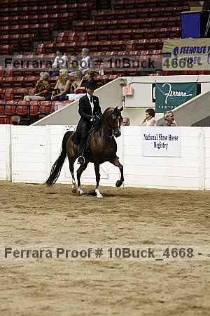 Proof 10buck_4668