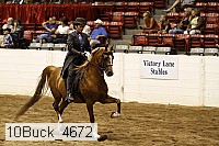 10buck_4672 proof