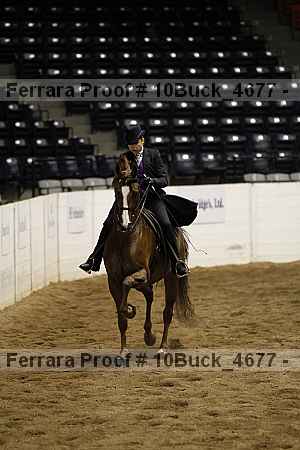 Proof 10buck_4677