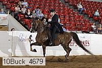 10buck_4679 proof