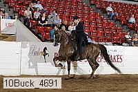 10buck_4691 proof
