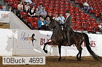 10buck_4693 proof