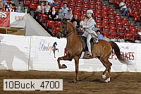 10buck_4700 proof