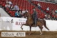 10buck_4701 proof