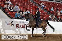 10buck_4703 proof