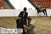 10buck_4707 proof