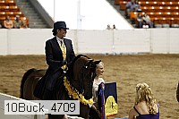 10buck_4709 proof
