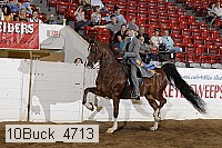10buck_4713 proof