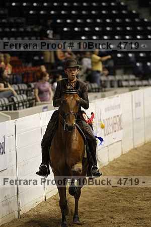Proof 10buck_4719
