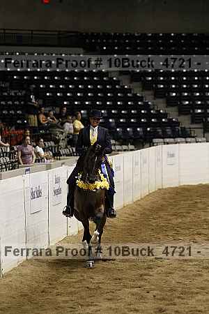 Proof 10buck_4721