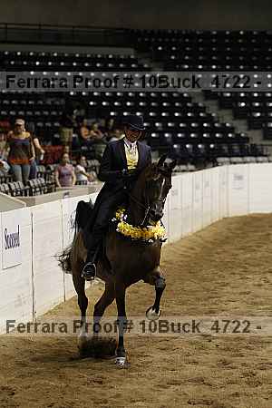 Proof 10buck_4722