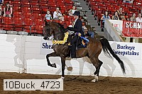 10buck_4723 proof