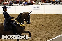 10buck_4724 proof