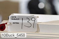 10buck_5458 proof