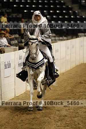 Proof 10buck_5460