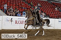 10buck_5463 proof