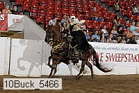 10buck_5466 proof