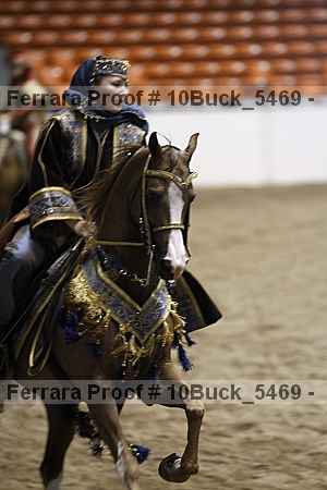 Proof 10buck_5469