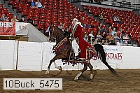 10buck_5475 proof