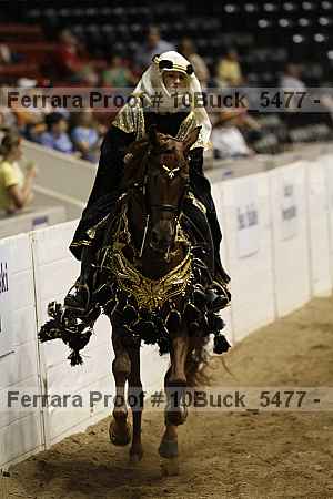 Proof 10buck_5477