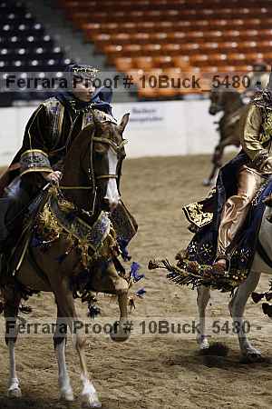 Proof 10buck_5480