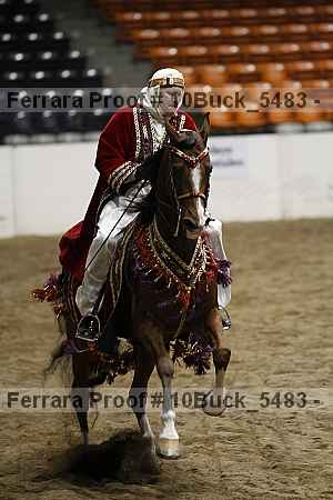 Proof 10buck_5483