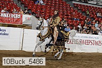 10buck_5486 proof