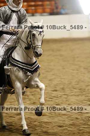 Proof 10buck_5489