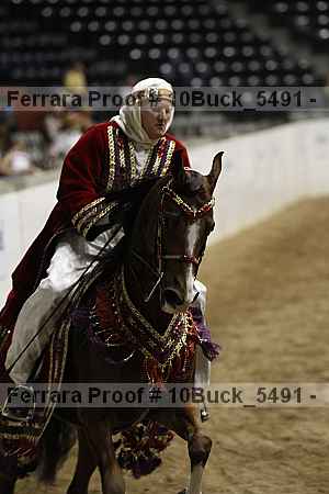 Proof 10buck_5491