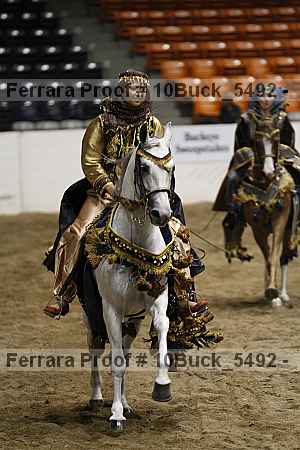 Proof 10buck_5492