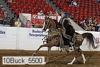 10buck_5500 proof