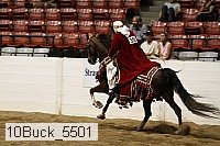 10buck_5501 proof