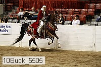 10buck_5505 proof