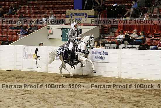 Proof 10buck_5508