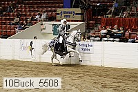 10buck_5508 proof