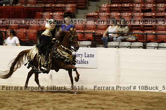 Proof 10buck_5510