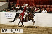 10buck_5511 proof