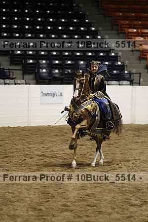 Proof 10buck_5514