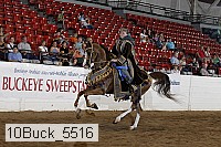 10buck_5516 proof