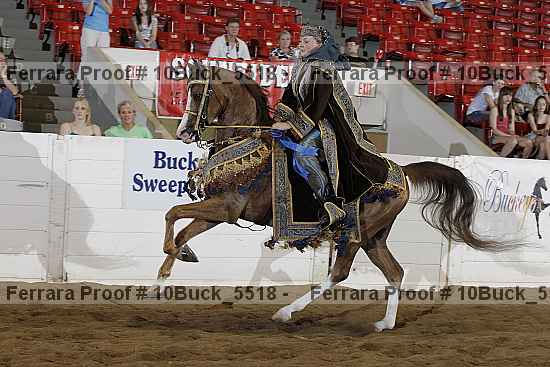 Proof 10buck_5518
