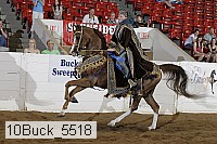 10buck_5518 proof