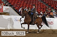 10buck_5523 proof