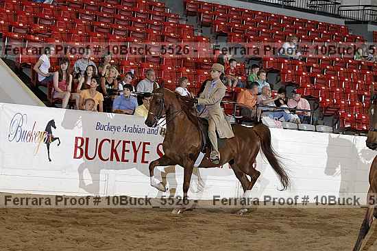 Proof 10buck_5526