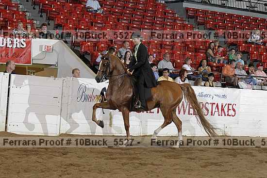 Proof 10buck_5527