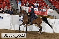 10buck_5528 proof